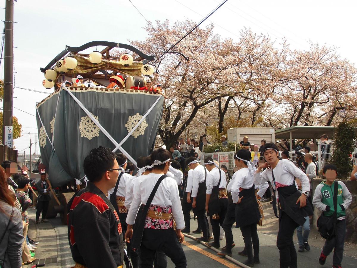 바람 축제